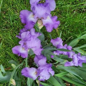 Meet your Posher, Sue